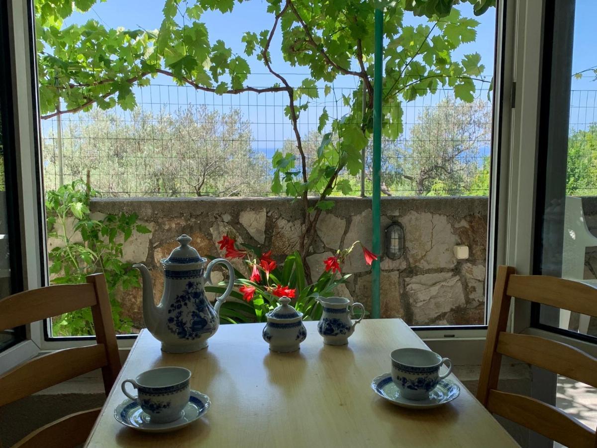 Apartments Mirian Petrovac Extérieur photo