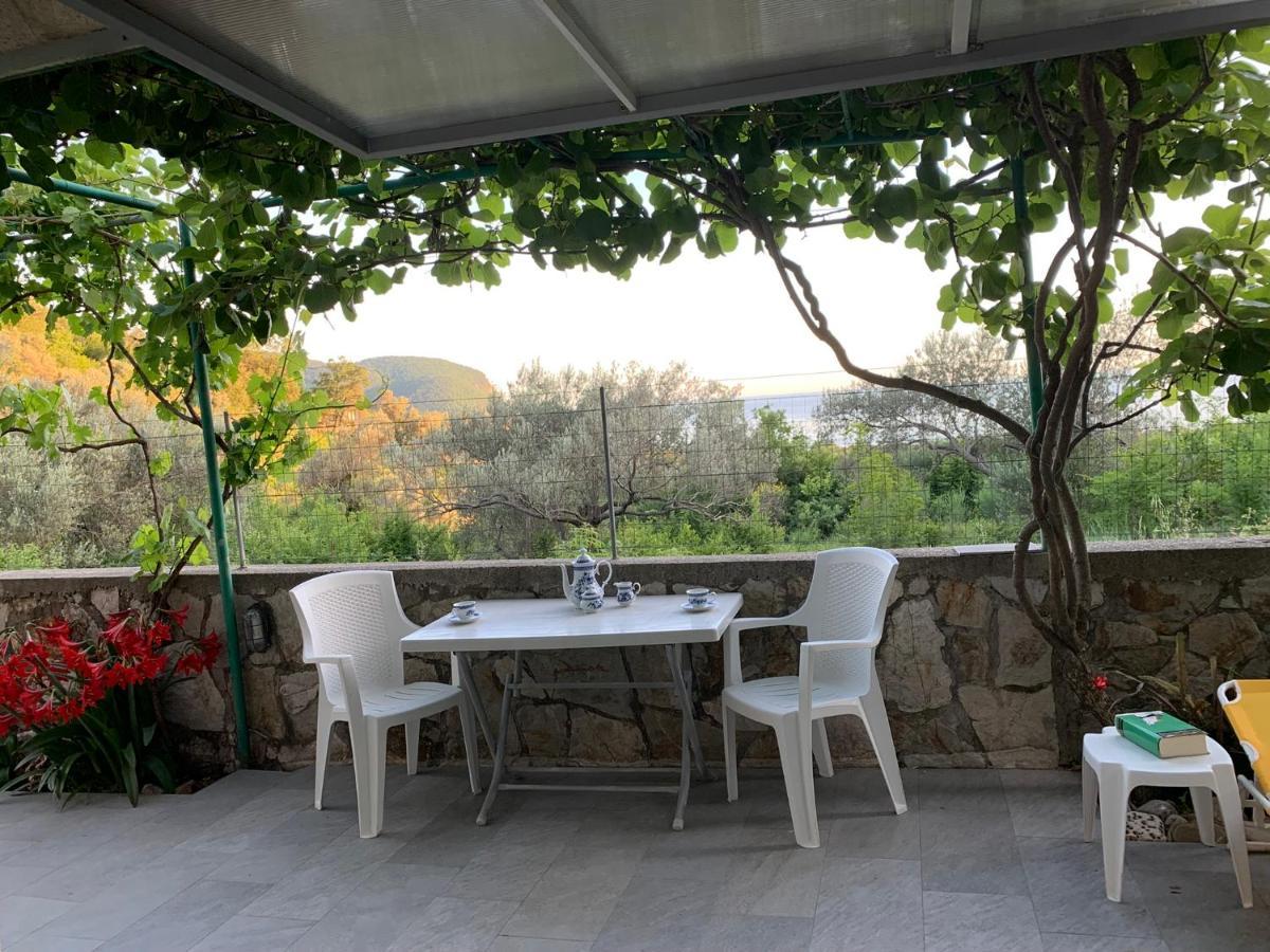 Apartments Mirian Petrovac Extérieur photo