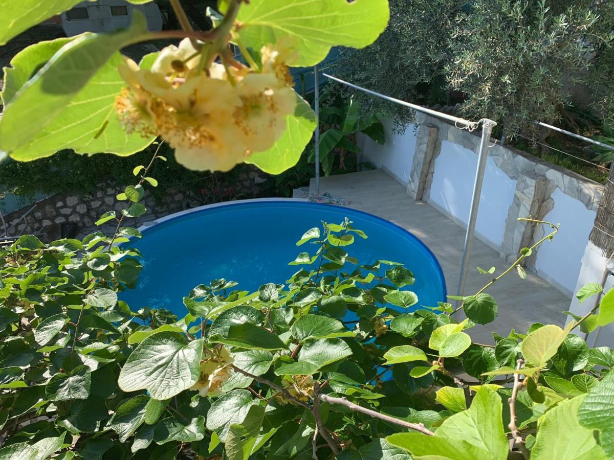 Apartments Mirian Petrovac Extérieur photo