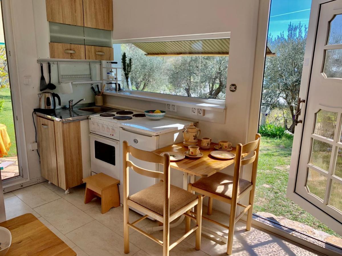 Apartments Mirian Petrovac Extérieur photo