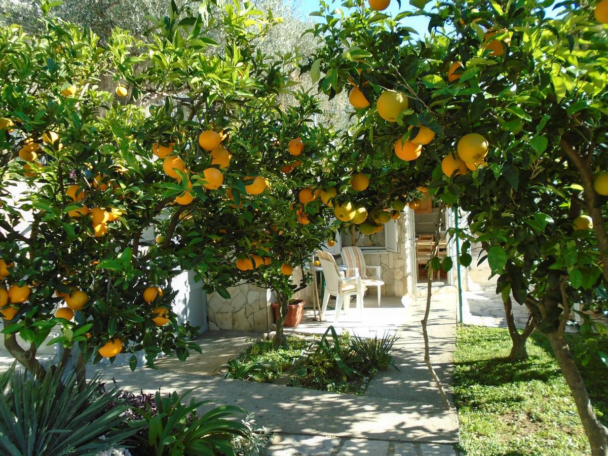Apartments Mirian Petrovac Extérieur photo