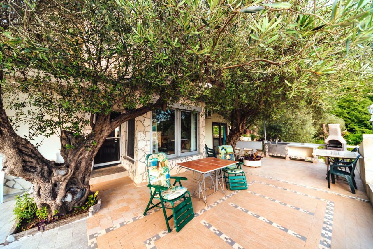 Apartments Mirian Petrovac Extérieur photo